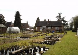 Former Slaters Garden Centre